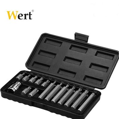 WERT 2243 Torx Bits Uç Seti (15 Parça)